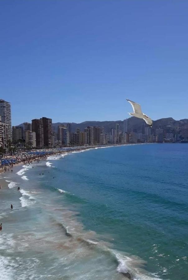 San Remo Levante Beach Apartments Benidorm Ngoại thất bức ảnh